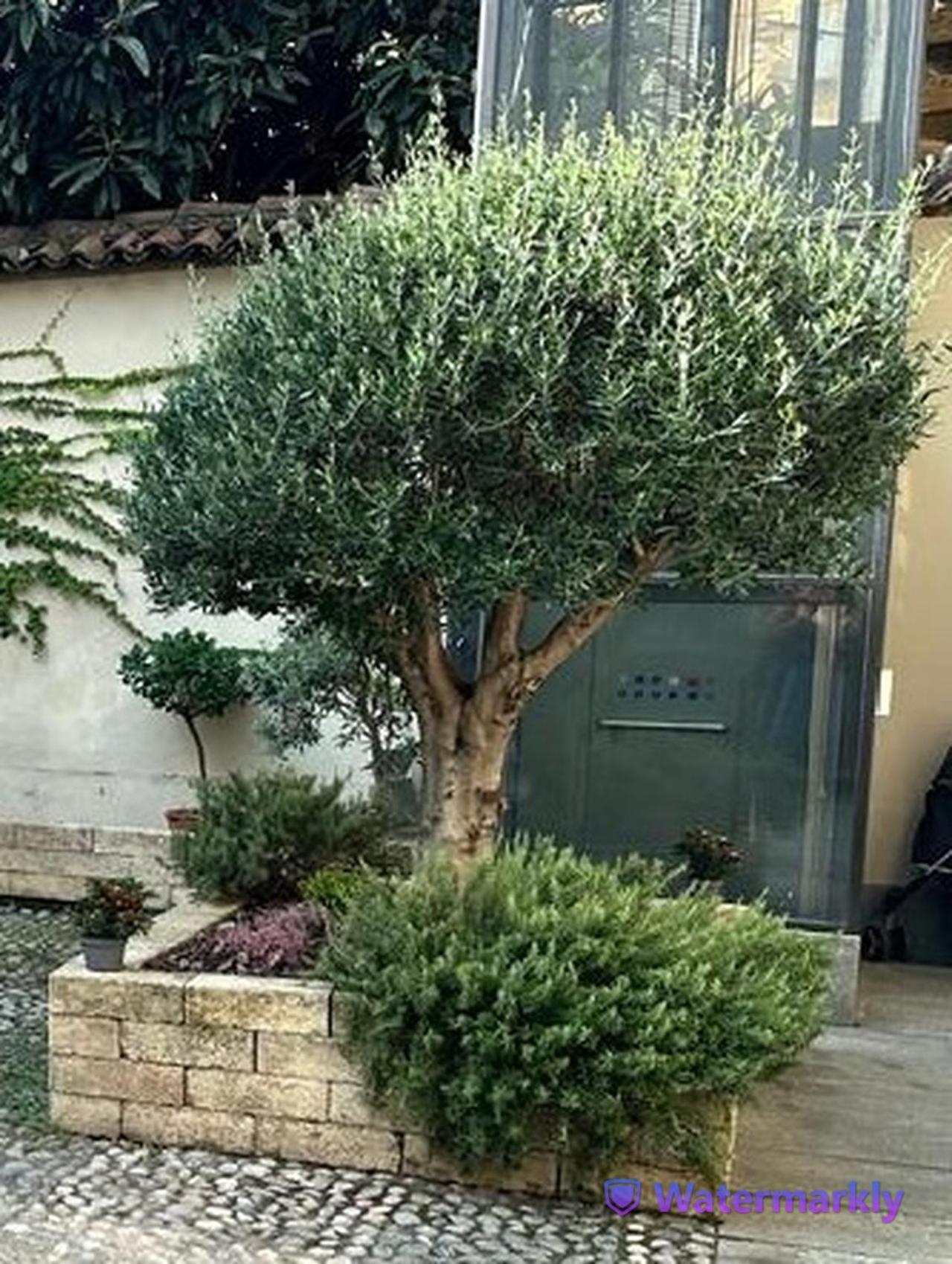 Apartamento Le Tre Ca', Ca' Cecilia, Ca' Nina, Ca' Vittoria Asti Exterior foto